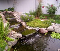 Water Features