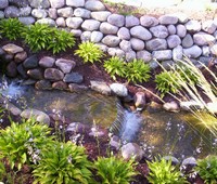 Water Features